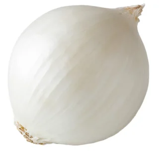 WHITE ONION