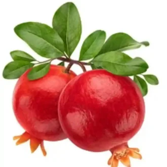 POMOGRANATE