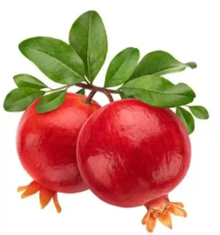 POMOGRANATE