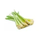 LEMONGRASS.webp
