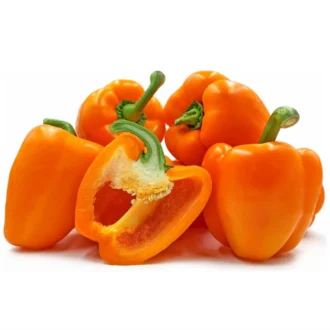 CAPSICUM ORANGE