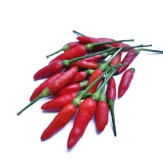 BIRD EYE CHILLY RED