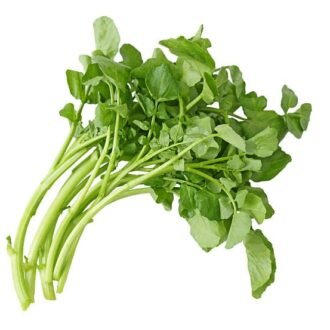 WATERCRESS