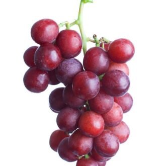 GRAPE RED